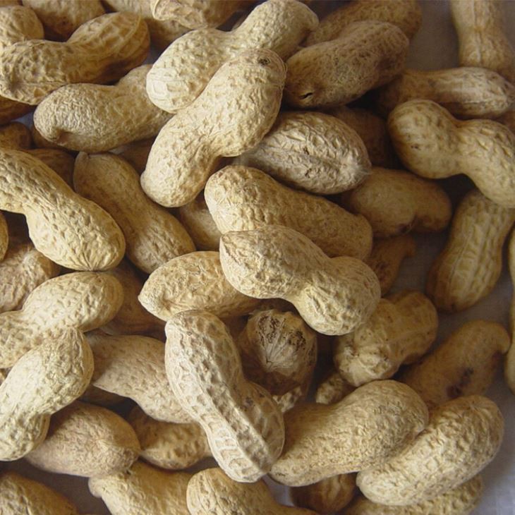 Roasted Peanuts With Shell